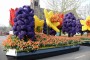 Thumbs/tn_Bloemencorso 2015 034.jpg